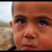 YETMEZ Mİ ? 3 1643818 aglayan cocuk serisi 1 bu fotografta kac kisi vargozlere dikkat